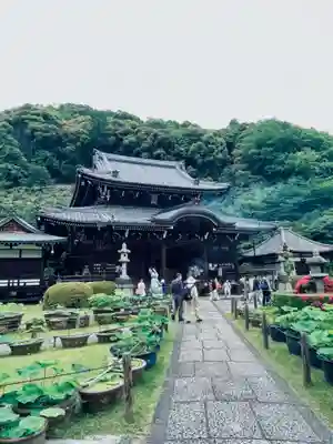 三室戸寺(京都府)