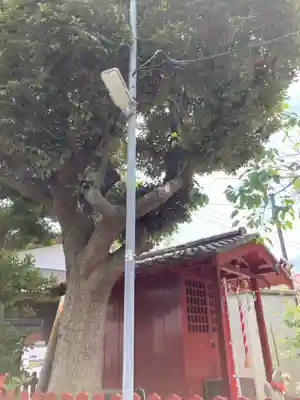 宇都宮稲荷神社（宇都宮辻幕府旧跡）の本殿・本堂