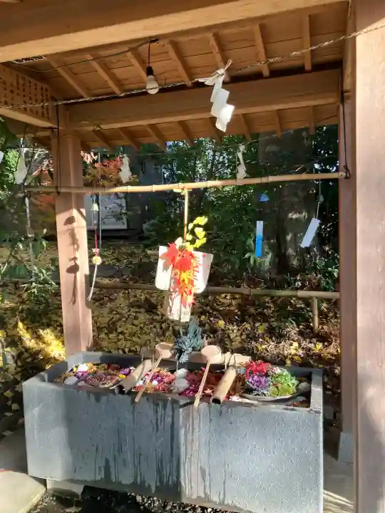 下野 星宮神社(栃木県)