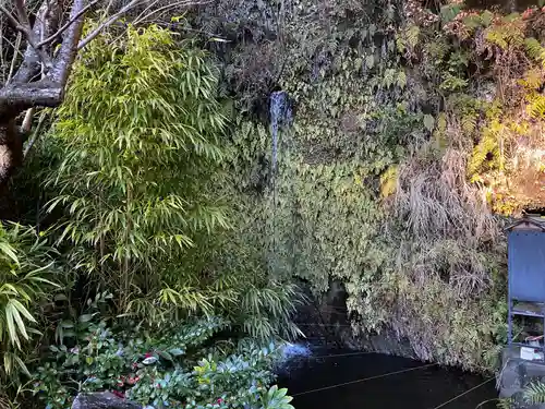 銭洗弁財天宇賀福神社の庭園
