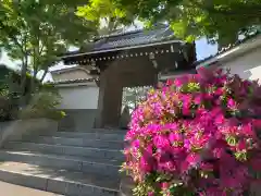 神足寺の山門