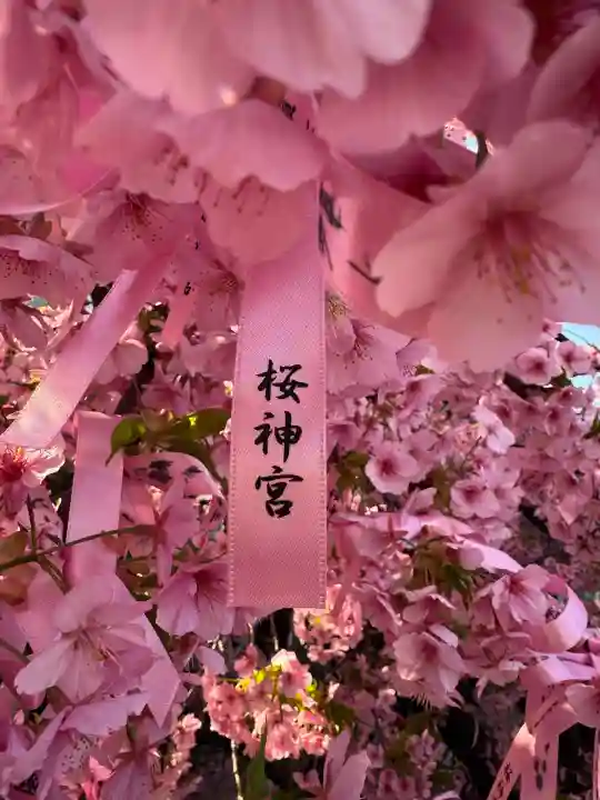 桜神宮の{uncategorized: "未分類", other: "その他", undefined: "問題あり", building: "その他建物", grave: "お墓", sacred_gate: "鳥居", guardian: "狛犬", statue: "像", buddha: "仏像", history: "歴史", nature: "自然", garden: "庭園", animal: "動物", pagoda: "塔", temizu: "手水舎", mountain_gate: "山門・神門", sanctuary: "本殿・本堂", subordinate: "末社・摂社", art: "芸術", scenery: "景色", jizo: "地蔵", ema: "絵馬", goshuin: "御朱印", omikuji: "おみくじ", items: "授与品その他", amulet: "お守り", goshuincho: "御朱印帳", eats: "食事", festival: "お祭り", votive_dance: "神楽", shichigosan: "七五三参", wedding: "結婚式", experience: "体験その他", initially: "初詣", around: "周辺", anti_infection: "感染症対策"}