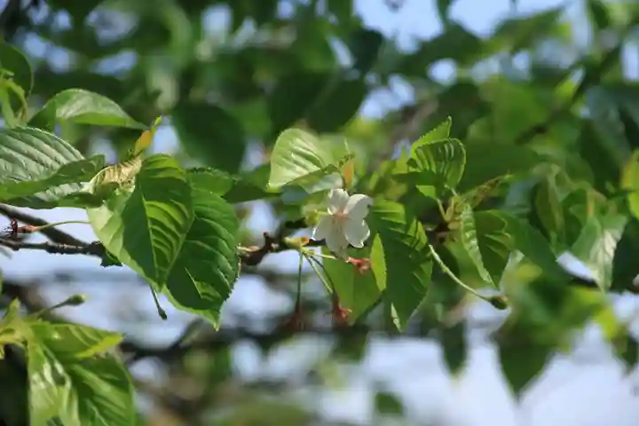 長屋神社(福島県)