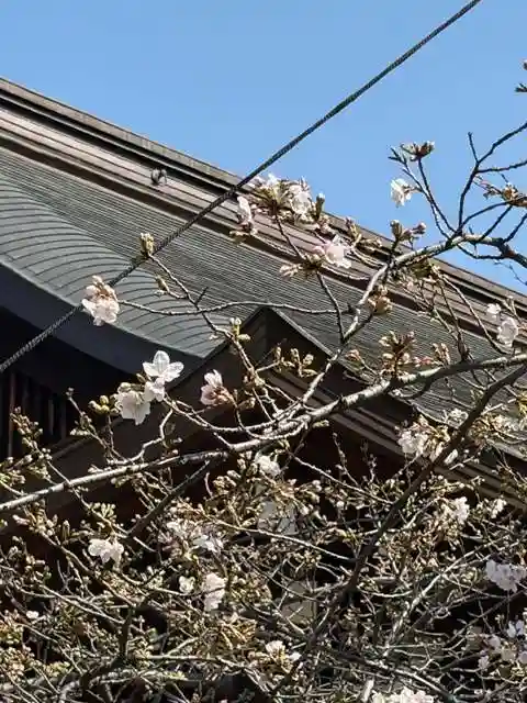 靖國神社(東京都)