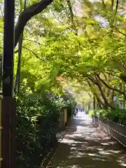 御髪神社(京都府)