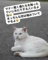 専念寺(大阪府)