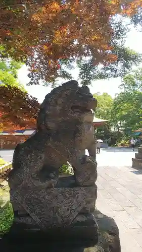 和樂備神社の狛犬