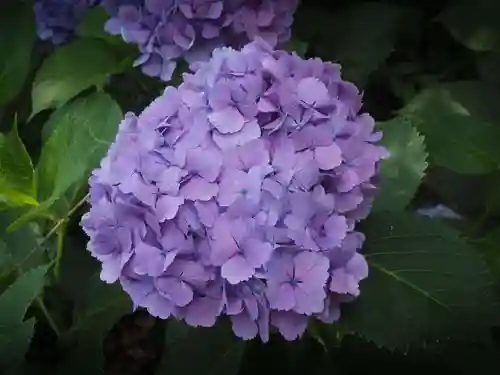 天王山 安楽寺(福井県)