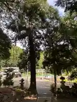 貴船神社(福井県)