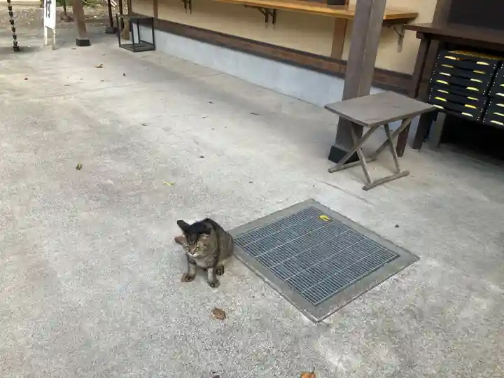 所澤神明社(埼玉県)