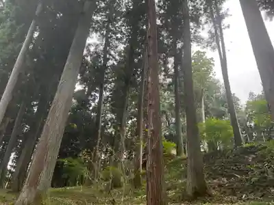 大宮温泉神社の周辺