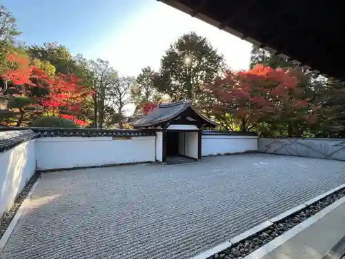 龍吟庵（竜吟庵）(京都府)