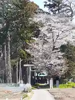 酒門神社の鳥居