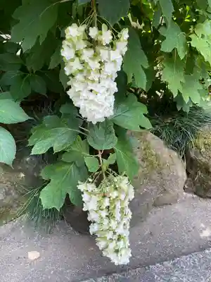 玉林寺(東京都)