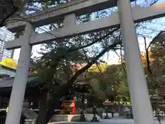 熊野神社の鳥居