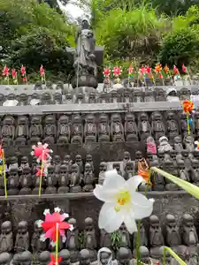 国上寺(新潟県)(2025年08月27日(水) 16時14分55秒投稿)