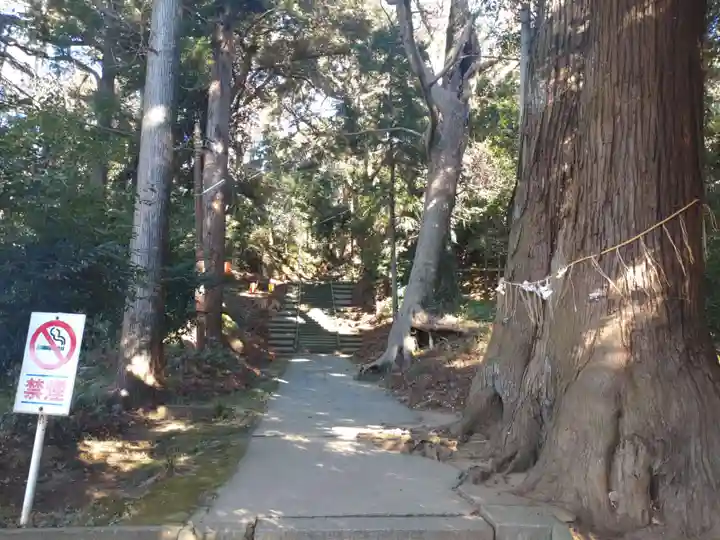 日吉神社(千葉県)