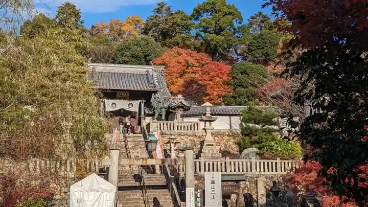 柳谷観音 楊谷寺(京都府)