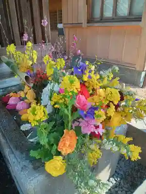 勝林寺(京都府)