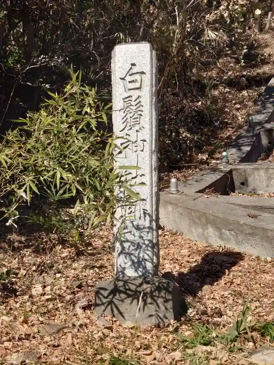 白鬚神社(埼玉県)