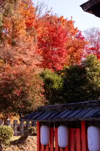 宇治神社の自然