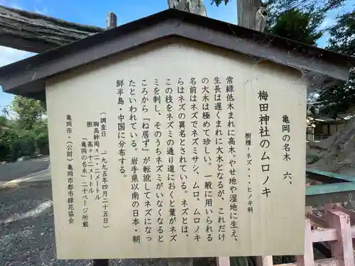 梅田神社(京都府)