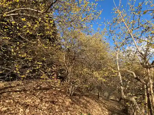 羽黒山神社(栃木県)