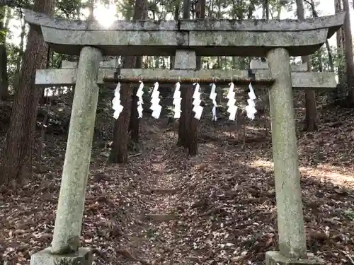 虎柏神社の鳥居