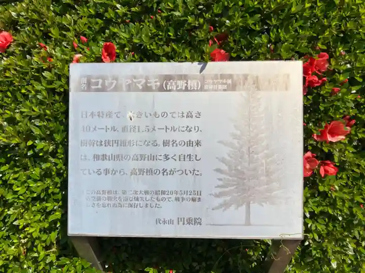 円乗院(東京都)