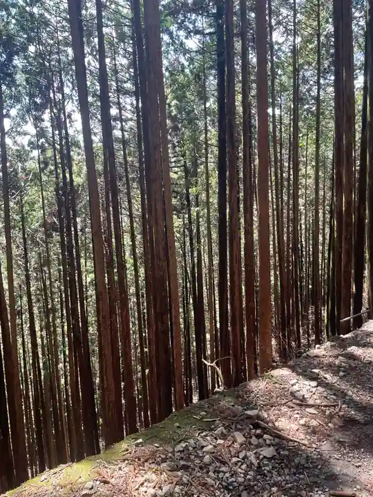 武蔵御嶽神社(東京都)
