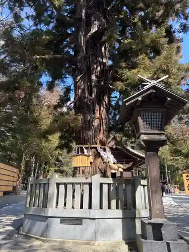 諏訪大社下社秋宮(長野県)