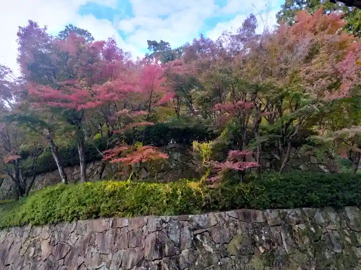 光明寺(粟生光明寺)(京都府)