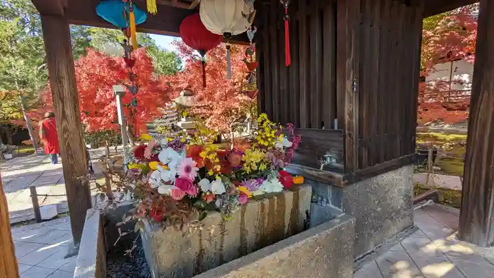 勝林寺(京都府)