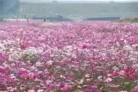 箭山神社上宮(大分県)