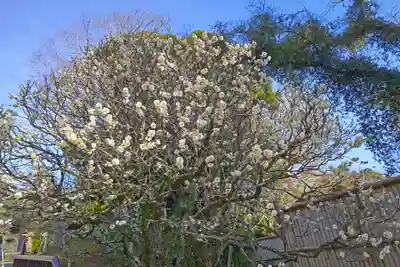 成田山新勝寺(千葉県)