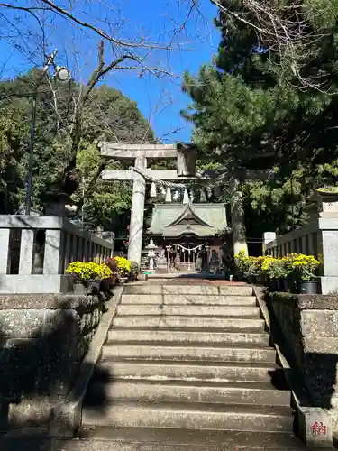 安房神社の鳥居