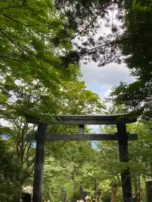 武蔵御嶽神社の鳥居