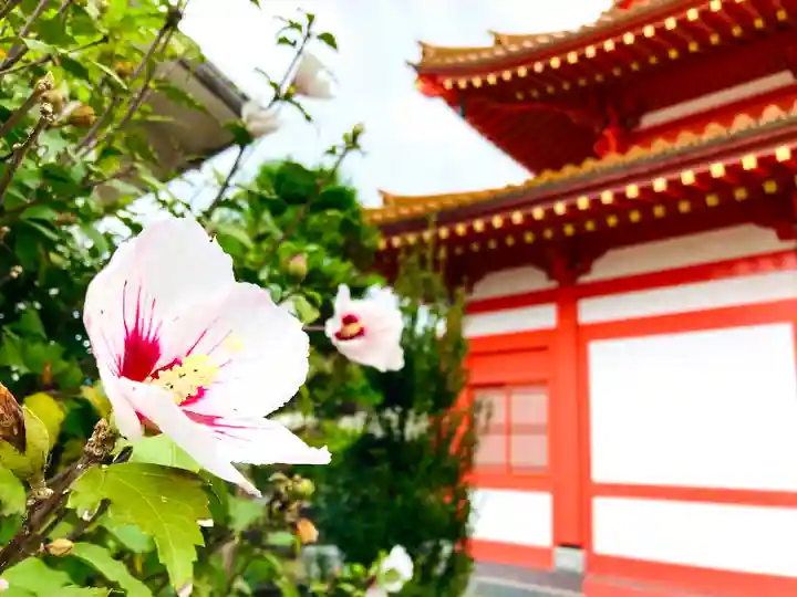 先聖寺(愛知県)