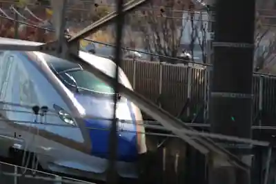 赤羽八幡神社(東京都)