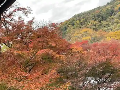 光明寺瑠璃光院(京都府)