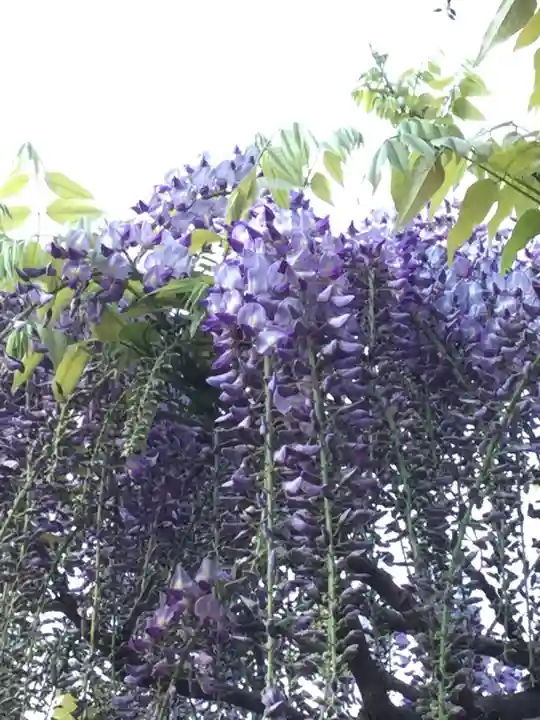 金蛇水神社の自然