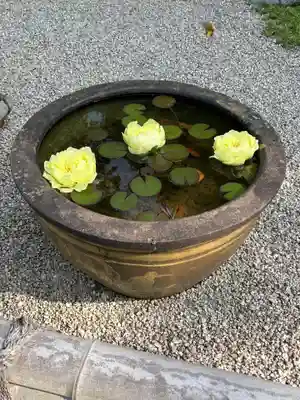 長泉院(埼玉県)