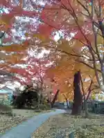 正樂寺(宮城県)