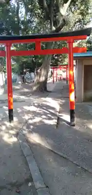 宮田春日神社の鳥居