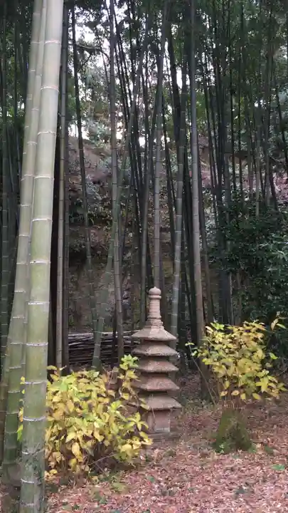 英勝寺の庭園
