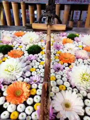 高円寺氷川神社(東京都)