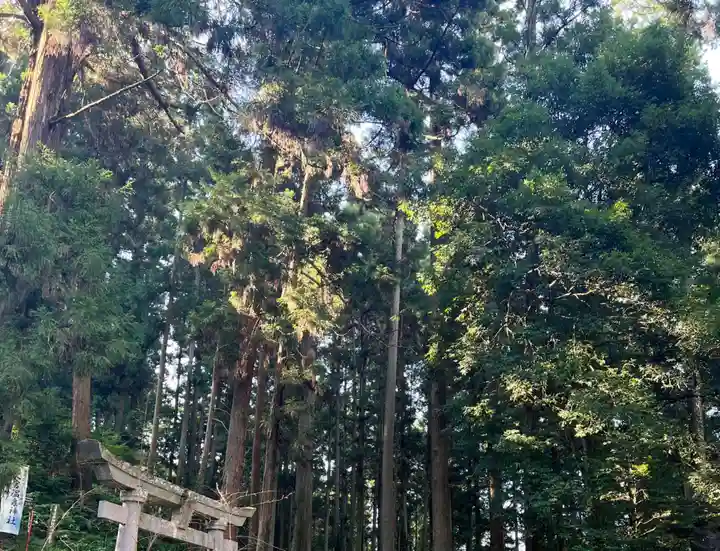 大宮温泉神社(栃木県)