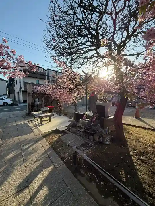 龍王院の{uncategorized: "未分類", other: "その他", undefined: "問題あり", building: "その他建物", grave: "お墓", sacred_gate: "鳥居", guardian: "狛犬", statue: "像", buddha: "仏像", history: "歴史", nature: "自然", garden: "庭園", animal: "動物", pagoda: "塔", temizu: "手水舎", mountain_gate: "山門・神門", sanctuary: "本殿・本堂", subordinate: "末社・摂社", art: "芸術", scenery: "景色", jizo: "地蔵", ema: "絵馬", goshuin: "御朱印", omikuji: "おみくじ", items: "授与品その他", amulet: "お守り", goshuincho: "御朱印帳", eats: "食事", festival: "お祭り", votive_dance: "神楽", shichigosan: "七五三参", wedding: "結婚式", experience: "体験その他", initially: "初詣", around: "周辺", anti_infection: "感染症対策"}