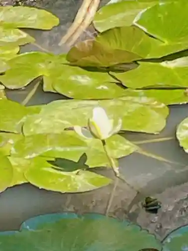 高屋敷稲荷神社(福島県)