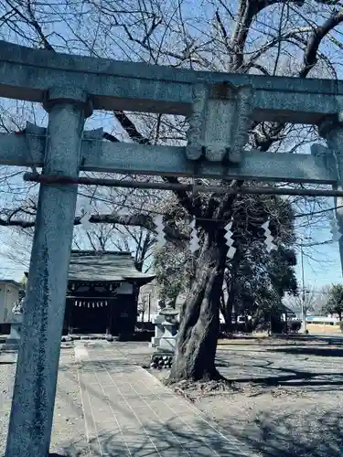 八幡大神社(東京都)